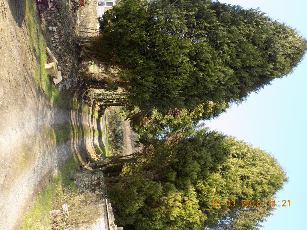 Holdstrong Farmhouse Lydford Exterior foto